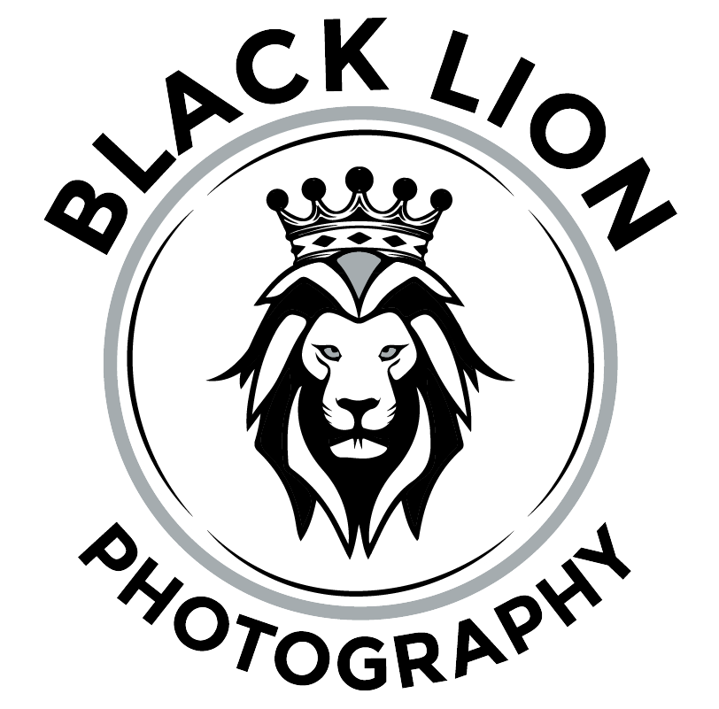 Black Lion Photography